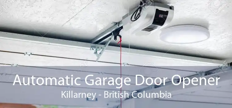 Automatic Garage Door Opener Killarney - British Columbia