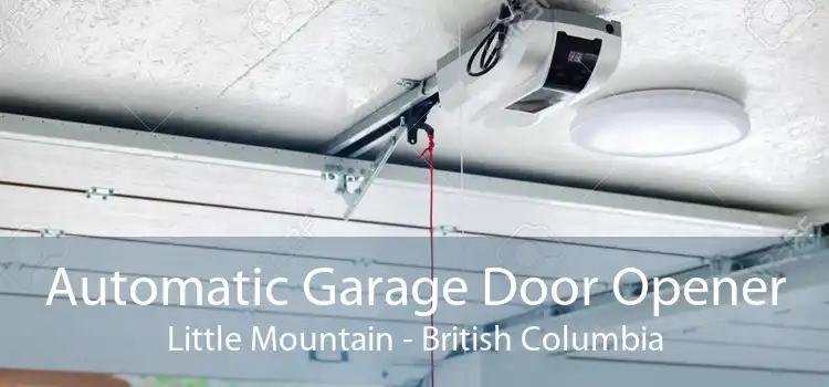 Automatic Garage Door Opener Little Mountain - British Columbia