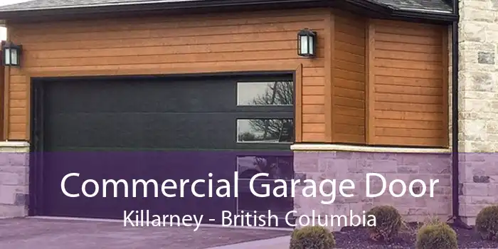 Commercial Garage Door Killarney - British Columbia