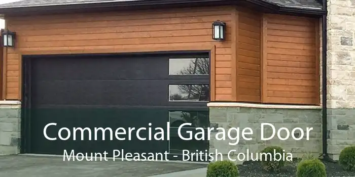 Commercial Garage Door Mount Pleasant - British Columbia