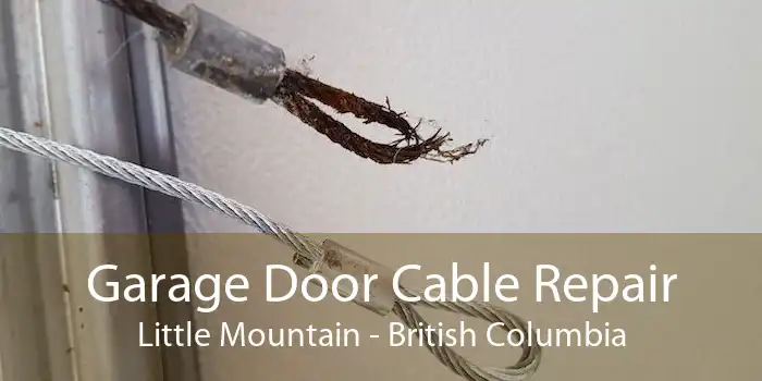 Garage Door Cable Repair Little Mountain - British Columbia