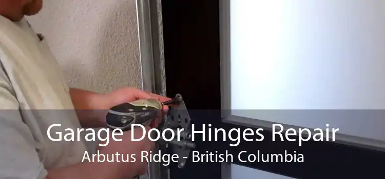 Garage Door Hinges Repair Arbutus Ridge - British Columbia