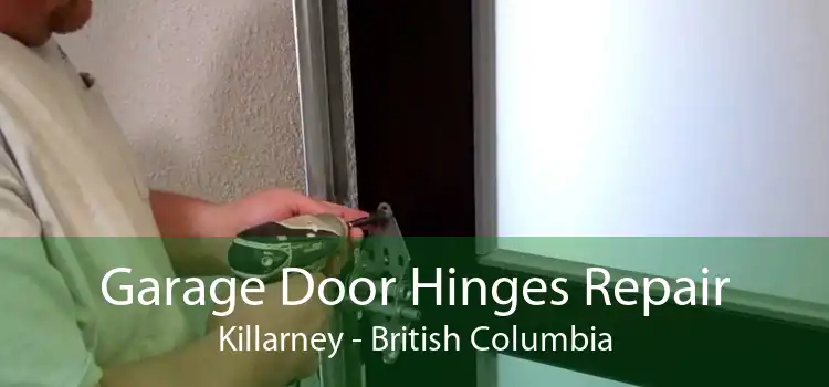 Garage Door Hinges Repair Killarney - British Columbia