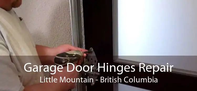 Garage Door Hinges Repair Little Mountain - British Columbia