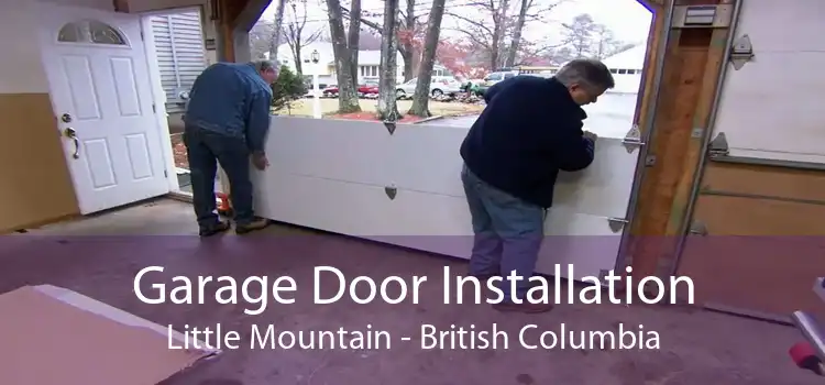 Garage Door Installation Little Mountain - British Columbia