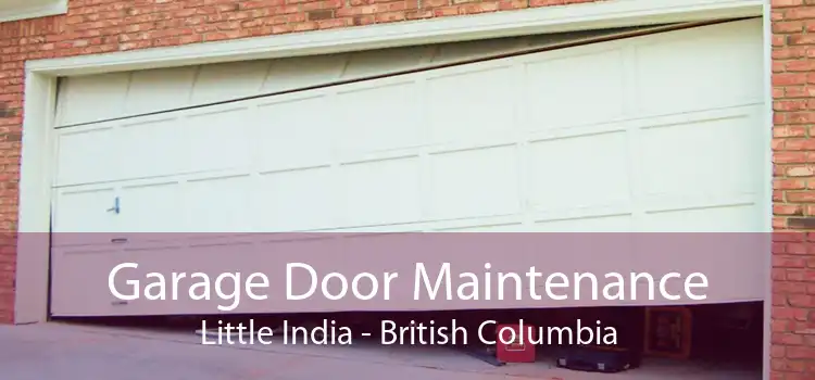 Garage Door Maintenance Little India - British Columbia