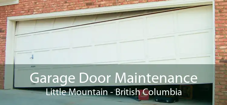 Garage Door Maintenance Little Mountain - British Columbia