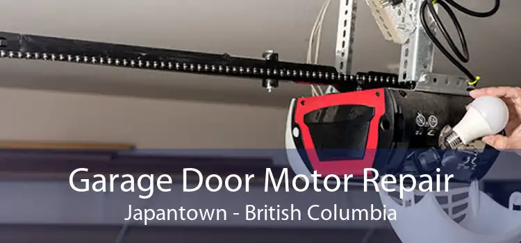 Garage Door Motor Repair Japantown - British Columbia