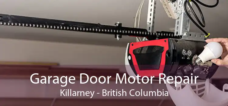 Garage Door Motor Repair Killarney - British Columbia