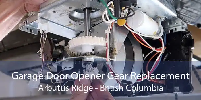 Garage Door Opener Gear Replacement Arbutus Ridge - British Columbia