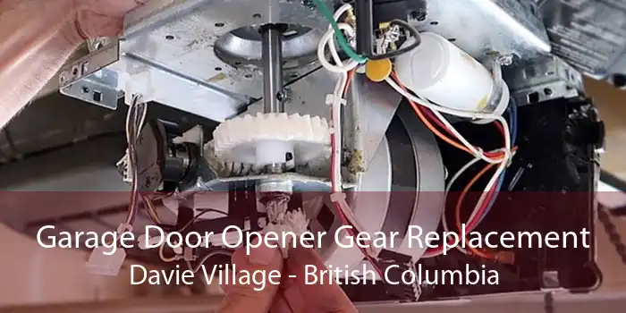 Garage Door Opener Gear Replacement Davie Village - British Columbia