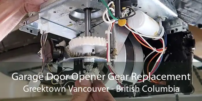 Garage Door Opener Gear Replacement Greektown Vancouver - British Columbia