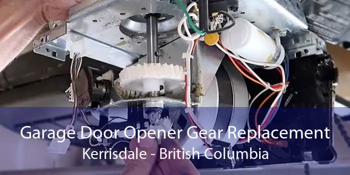 Garage Door Opener Gear Replacement Kerrisdale - British Columbia