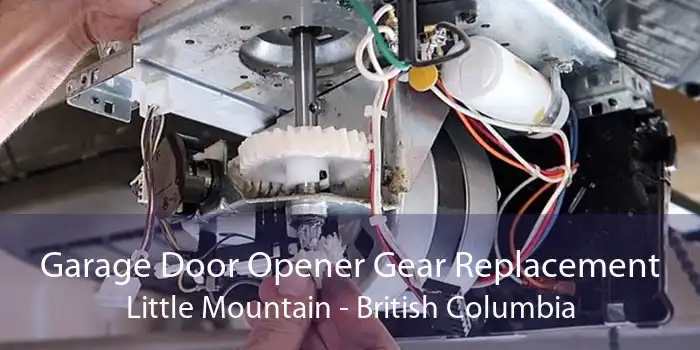 Garage Door Opener Gear Replacement Little Mountain - British Columbia