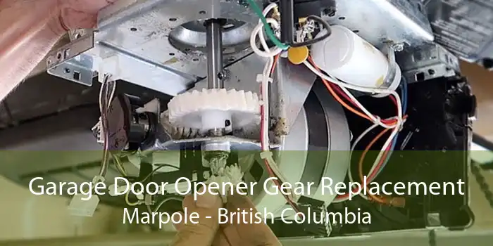 Garage Door Opener Gear Replacement Marpole - British Columbia