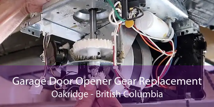 Garage Door Opener Gear Replacement Oakridge - British Columbia