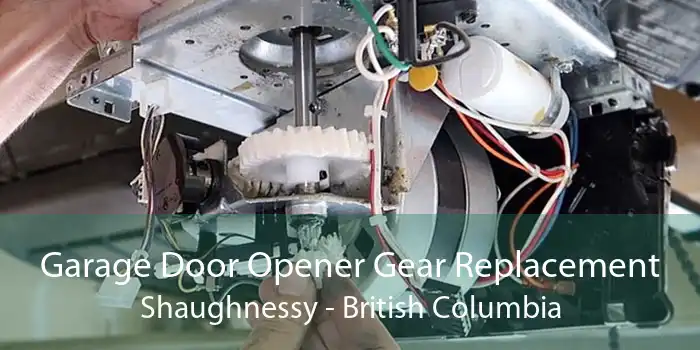 Garage Door Opener Gear Replacement Shaughnessy - British Columbia