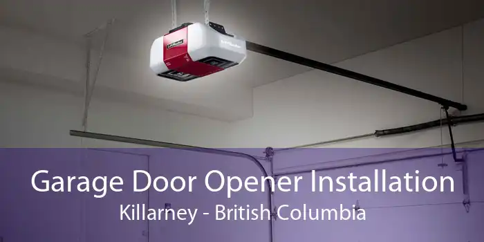 Garage Door Opener Installation Killarney - British Columbia