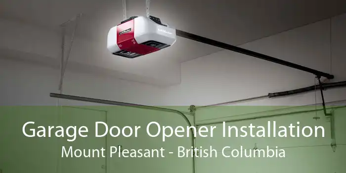 Garage Door Opener Installation Mount Pleasant - British Columbia