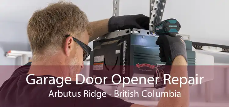 Garage Door Opener Repair Arbutus Ridge - British Columbia