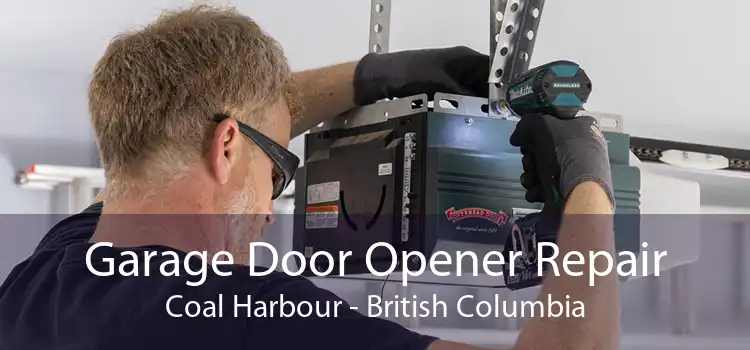 Garage Door Opener Repair Coal Harbour - British Columbia