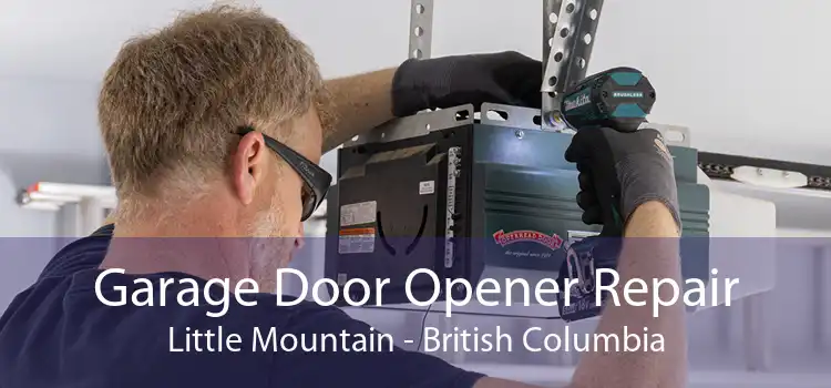 Garage Door Opener Repair Little Mountain - British Columbia