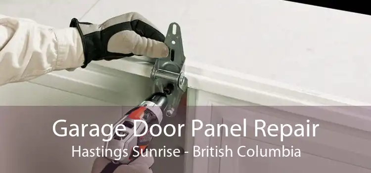 Garage Door Panel Repair Hastings Sunrise - British Columbia
