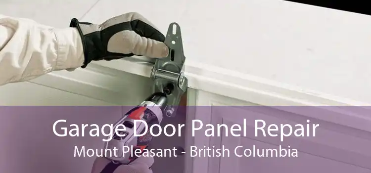 Garage Door Panel Repair Mount Pleasant - British Columbia