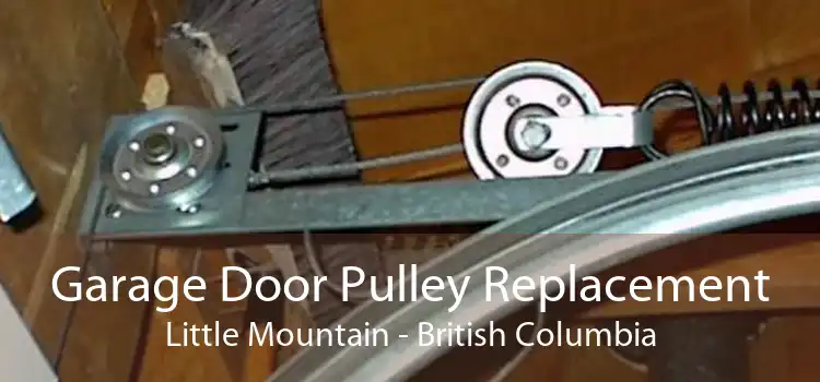 Garage Door Pulley Replacement Little Mountain - British Columbia