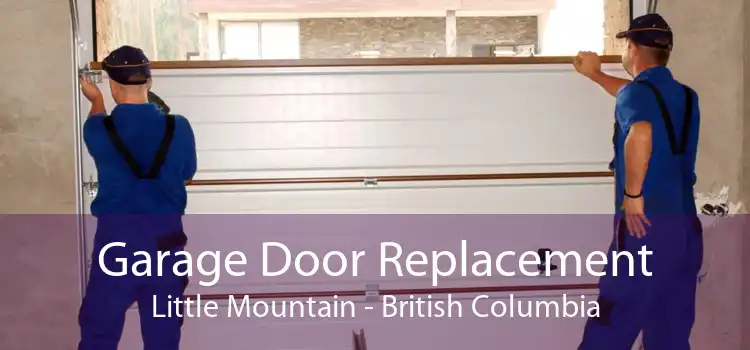 Garage Door Replacement Little Mountain - British Columbia