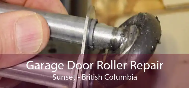 Garage Door Roller Repair Sunset - British Columbia