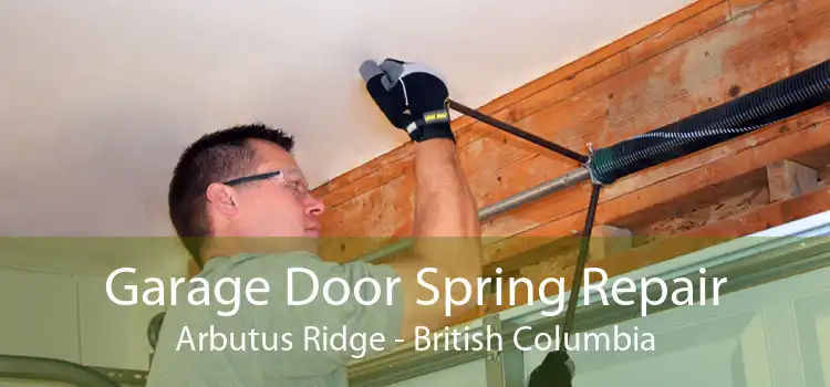 Garage Door Spring Repair Arbutus Ridge - British Columbia