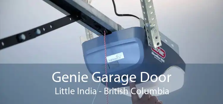 Genie Garage Door Little India - British Columbia