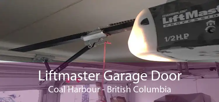 Liftmaster Garage Door Coal Harbour - British Columbia