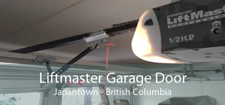 Liftmaster Garage Door Japantown - British Columbia