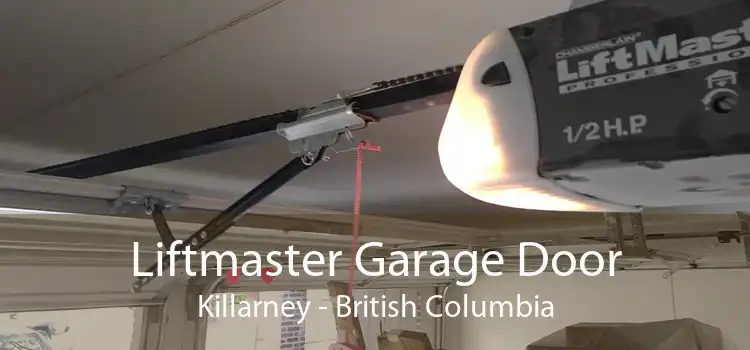 Liftmaster Garage Door Killarney - British Columbia