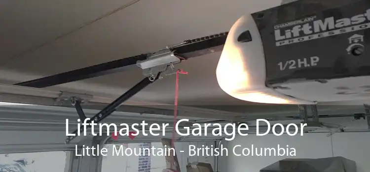 Liftmaster Garage Door Little Mountain - British Columbia