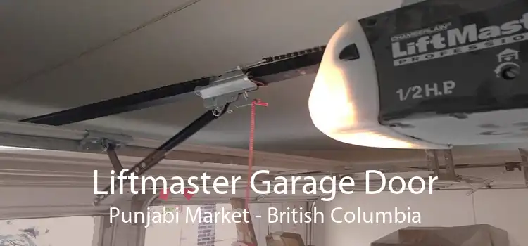 Liftmaster Garage Door Punjabi Market - British Columbia