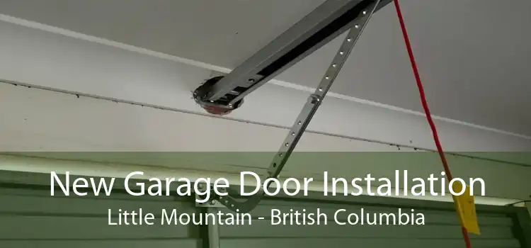New Garage Door Installation Little Mountain - British Columbia