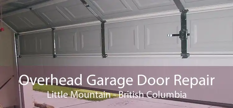 Overhead Garage Door Repair Little Mountain - British Columbia