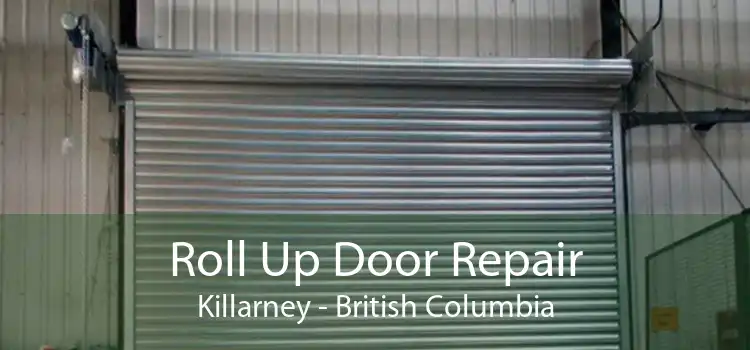 Roll Up Door Repair Killarney - British Columbia