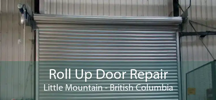 Roll Up Door Repair Little Mountain - British Columbia