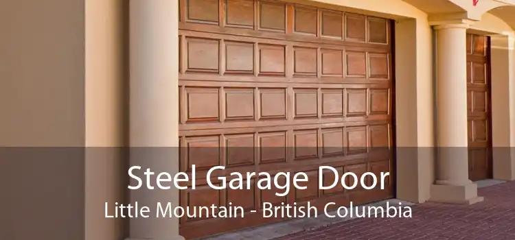 Steel Garage Door Little Mountain - British Columbia